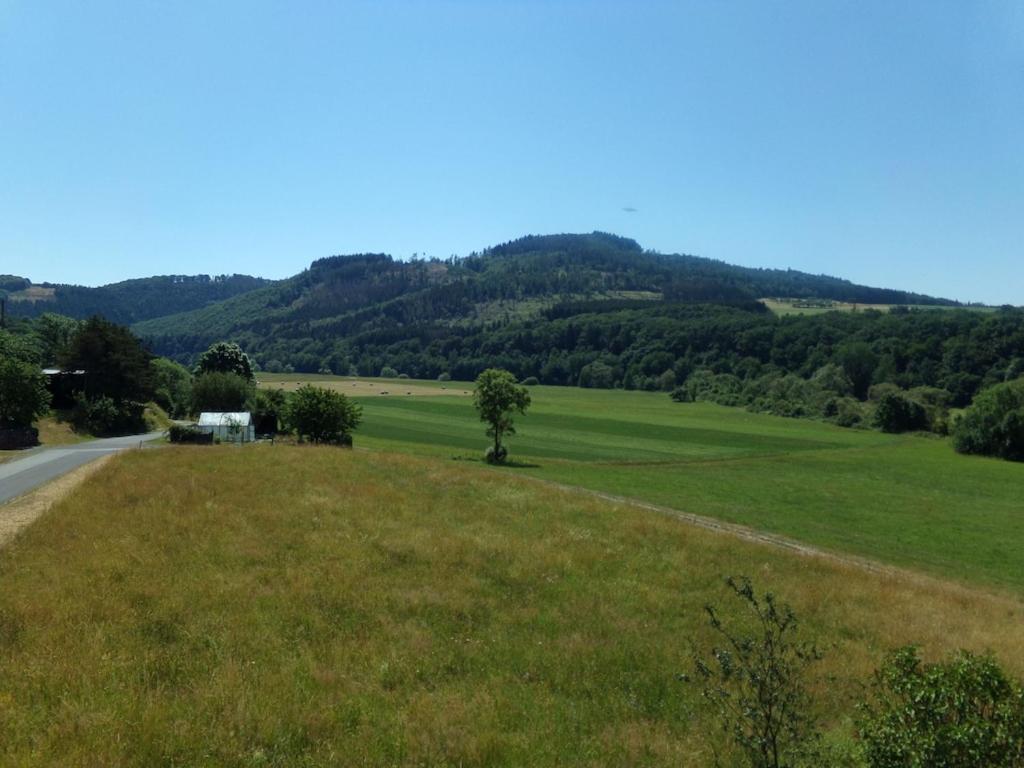 Appartement Ederauenblick à Dodenau Extérieur photo